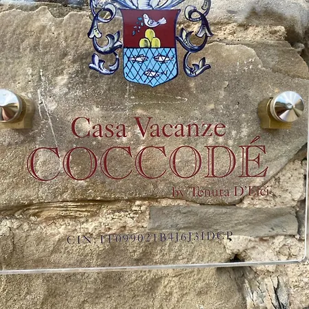 بيت للعطل Coccode *