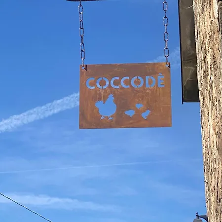 بيت للعطل Coccode