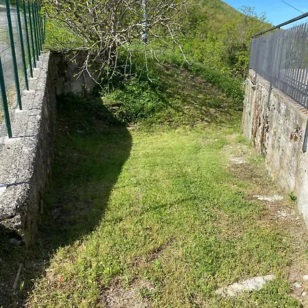 Coccode Casteldelci